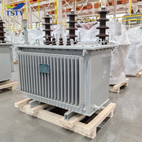 Transformador reductor OEM ampliamente utilizado TSTY 11KV a 400V 1000 Kva precio de los transformadores