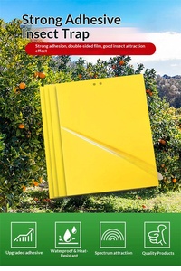 Trampa Impermeable para Moscas de la Fruta con Adhesivo de Doble Cara Amarillo/Azul para Tripas/Afidos/Moscas Blancas, Grosor de 0.23mm - Product Image 2