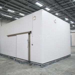 Nouveau Produit : Pack de Stockage Réfrigéré Mobile (Chambre Froide) – Chambre Froide Modulaire pour Congélation et Réfrigération - Product Image 1