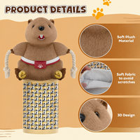 Nouveauté 2026 : Jouet pour chat de haute qualité, marionnette à main en peluche, gant de lutteur, jouets interactifs durables à mâcher pour chats et chiens avec corde