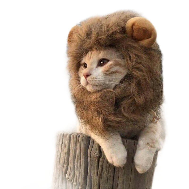 Promozione italian, Shopping online per italian promozionali - leone gatto  cappello.alibaba.com