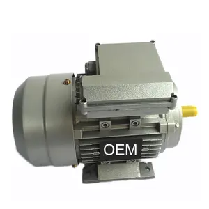 2/4/6-poliger Ein phasen motor/Ein phasen motor 220V