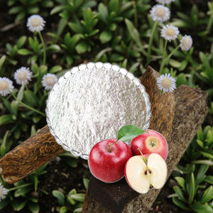 10% Totale Azijn <span class=keywords><strong>Apple</strong></span> Extract Poeder Wateroplosbare Food Grade Vaste Drank Grondstoffen Fles Verpakking Met Spot Verzendkosten - Product Image 4