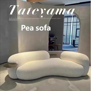 <span class=keywords><strong>Canapé</strong></span> incurvé de luxe nordique, édition designer, pour salon de beauté, réception, <span class=keywords><strong>canapé</strong></span> inclinable créatif - Product Image 2