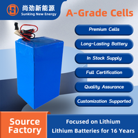 Pack de batteries au lithium SK18650-3S20P 18650 52Ah 12V (2200g) pour outils électriques, fourni directement par l'usine, échantillon personnalisé disponible