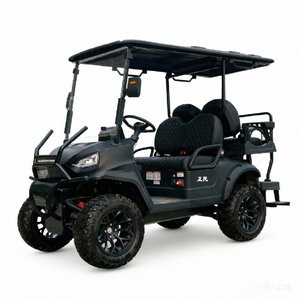 Voiturette de <span class=keywords><strong>golf</strong></span> tout-terrain 5000W quatre places certifiée CE, freins à disque avant, autonomie 50-70 km, vitesse maximale 30 km/h, couleur personnalisée - Product Image 1