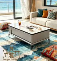 Ensemble de meubles de salon Nodric Light Luxury, table basse TV avec plateau en marbre, style nordique, table centrale pour usage domestique