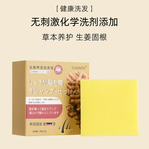 Vente en Gros de Soins des Cheveux Nettoyage en Profondeur Adoucissant Améliorant les Frisottis Gingembre Shampooing Nourrissant pour les Cheveux - Product Image 3