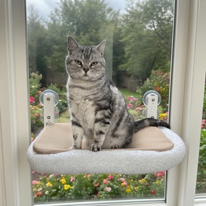 Alféizar de repisa plegable de alta capacidad de carga cubierta suave gato ventana percha gato inalámbrico ventosa de vidrio hamaca con marco de Metal - Product Image 4