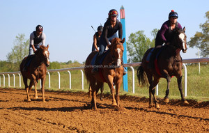 Clôture de piste de <span class=keywords><strong>course</strong></span> de <span class=keywords><strong>chevaux</strong></span> en PVC haute sécurité résistant aux UV - Product Image 3