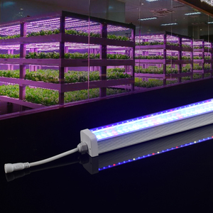 Invernaderos de cultivo de <span class=keywords><strong>uva</strong></span> directos de fábrica dentro de la agricultura de flores de frutas 150 grados T12 accesorio de espectro completo Led crece la <span class=keywords><strong>luz</strong></span> - Product Image 2