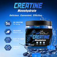 OEM & ODM Creatine Monohydrate Gummies, Rasa Blueberry, Suplemen Nutrisi Olahraga untuk Mendukung Stamina & Performa