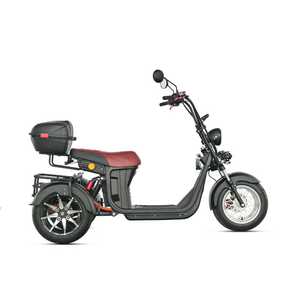 Nouveau modèle loyaux Citycoco : Scooter électrique à 3 roues, Citycoco 3000W, Tricycle électrique à pneus larges, Tricycle à trois roues 4000W - Product Image 2
