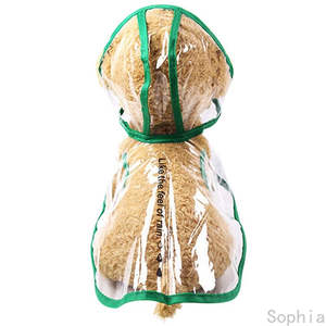 Impermeable Transparente para Perros Pequeños - Product Image 5