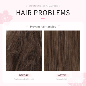 LAIKOU แชมพูสมุนไพรออร์แกนิคบำรุงเส้นผมและครีมนวดผม 200 มล. ขายส่ง - Product Image 6