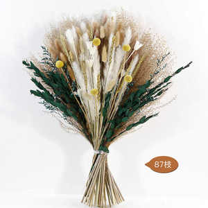2025 AYOYO Prix raisonnable Mélange <span class=keywords><strong>de</strong></span> plumes moelleuses <span class=keywords><strong>Bouquet</strong></span> <span class=keywords><strong>de</strong></span> <span class=keywords><strong>fleurs</strong></span> séchées sauvages <span class=keywords><strong>Fleurs</strong></span> séchées - Product Image 3