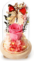 Rose éternelle en verre sous cloche, rose rose éternelle faite à la main avec lumière LED et base en bois, cadeau pour elle, maman, petite amie