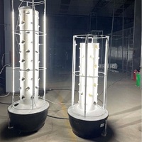 Système de culture hydroponique vertical en tour pour ananas, pour petit jardin familial, 6 niveaux, ABS de qualité alimentaire, 30L d'eau