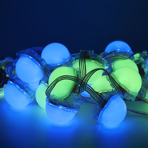 Dc24v lập trình thay đổi độ sáng <span class=keywords><strong>LED</strong></span> Pixel nguồn ánh sáng RGB giáng sinh chuỗi ánh sáng cảnh quan ngoài trời IP67 PVC đèn cơ thể kỳ nghỉ nhà - Product Image 1