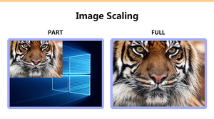 MVP300 Support Usb Support Novastar Control System MSD600 <strong>MSD300</strong> <strong>Sending</strong> Card for LED Display Video Processor - Product Image 3