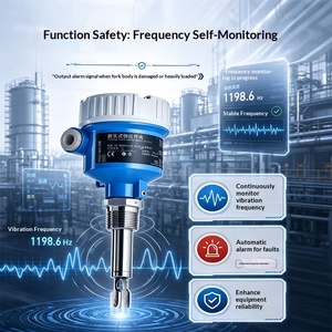Interrupteur de niveau à fourche vibrante E+H Endress+Hauser série FTL, authentique, personnalisation industrielle, fabriqué en Chine - Product Image 5