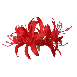 Têtes de fleurs artificielles de lys araignées rouges 6 cm en soie pour décoration de mariage et arrangements hôteliers - Product Image 1