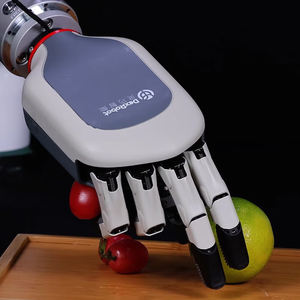Dexrobot 021 Versión Conceptual, Mano Robótica Inteligente de Uso General, Mano Robótica Inteligente y Ágil de Uso General - Product Image 1