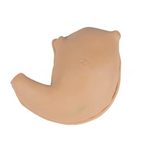 Módulo de Simulación Laparoscópica para Procedimientos Quirúrgicos de Anastomosis Gástrica - Práctica 3D para Sutura y Corte