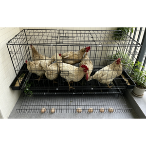 Gabbia Portatile per Uccelli da Esterno per Avvistamento Faunistico, Allevamento di Animali Domestici e Gatti, Attrezzatura per Allevamenti di Pollame e Animali da Fattoria - <span class=keywords><strong>Vendita</strong></span> Diretta dalla Fabbrica all'Ingrosso - Product Image 3