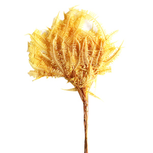Flor Eterna de Osmanthus, Osmanthus Wolf, Hoja de Helecho, Flor Flotante con Cubierta de Cristal de Dientes de Oveja de Alta Montaña, Material de Flor Eterna - Product Image 4