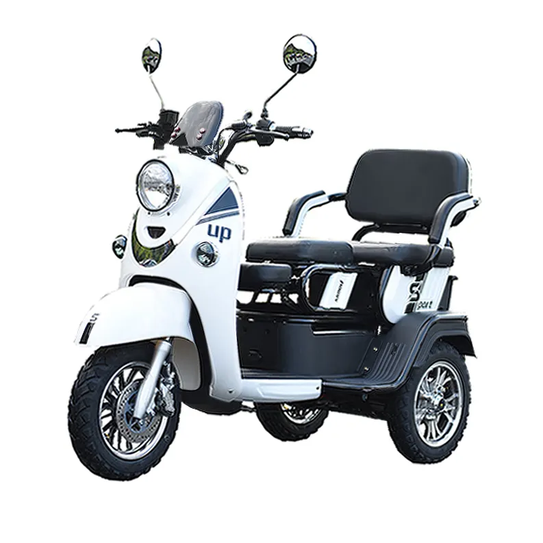 Triciclo de 1000w para adulto, bicicleta eléctrica con Motor de tres ruedas, movilidad de dos asientos