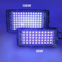 Projecteur LED UV IP65 de haute qualité 100W 200W Ultra Violet 395NM Lampe en aluminium Haute luminosité Télécommande Éclairage paysager