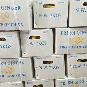 Nova Colheita Alta Qualidade Tamanhos Grandes Gengibre Fresco Chinês - Product Image 6