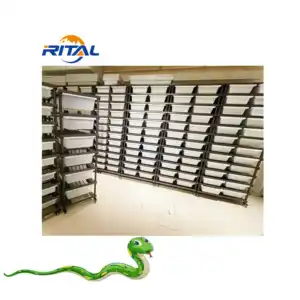 Ball Python Reptile Snake Rack System Snake Breeding Rack avec Hide Cage Modulaire et Heat Tape