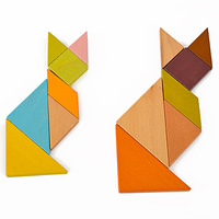 Challenge IQ Jouet Éducatif Jeux de Voyage Puzzle Magnétique Livre de Puzzle Tangram en Bois