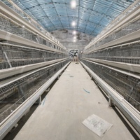 Cage d'élevage de poussins de type A pour poussins d'un jour, capacité 500-2000 poussins, galvanisée à chaud, 3/4 niveaux, pour élevage avicole