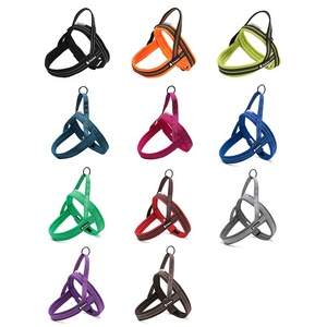 Truelove nefes yansıtıcı naylon köpek koşum toptan üretici yürüyüş evcil hayvan koşumu çevre dostu köpek koşum en çok satan - Product Image 6