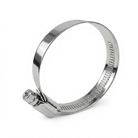 Collier de serrage à vis sans fin de type allemand pour tuyau en silicone 9mm 12mm SS304 non perforé