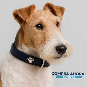 Collare per Cani YOMMY con Stampa Zampa Rossa, Regolabile, Fibbia in Metallo Resistente, Design di Sicurezza - Product Image 5
