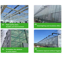 Serre en verre Venlo sur mesure de 1000 m² avec système hydroponique vertical et aéroponique, serre ou conteneur