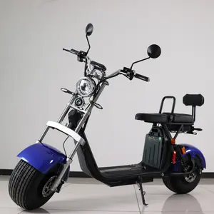 Citycoco chopper – trottinette électrique pour adulte 2022 w, auto-équilibré, dérive, avec poignée, europe, 1500