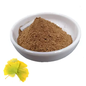 Hot Sale Price Pure Organic Dried Ginkgo Biloba Leaves Extract Powder