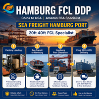 Fret maritime FCL Chine vers Allemagne, port d'Hambourg, DDP, agent d'expédition Amazon FBA, conteneurs 20 pieds et 40 pieds, solution logistique professionnelle tout-en-un