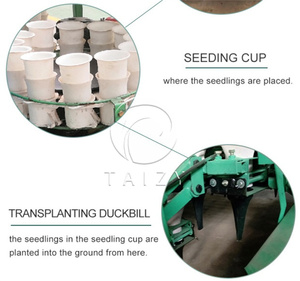 Machine de planteur de semis automatique, pour tabac - Product Image 6
