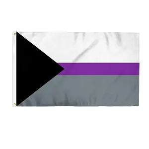 Kustom demisseksual 3x5 kaki LGBTQ + bendera bangga untuk terbang dalam atau luar ruangan!