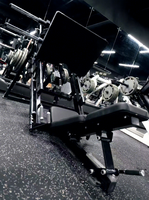 ZY-Commercial Machine de presse à jambes à 45 degrés professionnelle à charge libre pour l'entraînement de force des membres inférieurs en salle de sport