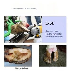 Hoefkussen Vee Zacht Rubber Hoefblok Paard Hoef Trimmen Mat Koe Hoef Pads Voor Weiland - Product Image 6