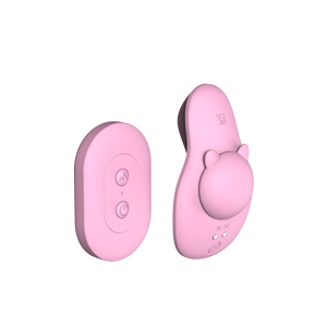 Sexueel Speelgoed Afstandsbediening Siliconen Vibrerende Ei Vrouwen Slipje 10 Snelheden Clitoris Stimulator Panty Vibrator Vrouwen Speelgoed - Product Image 4