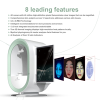 Analyseur de peau professionnel AI Magic Mirror, machine de diagnostic pour salon de beauté, testeur de condition de la peau, scanner facial