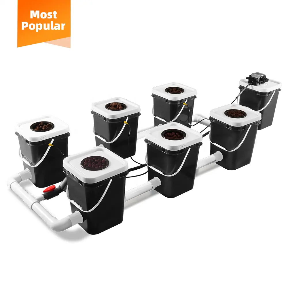 Neueste Gartenbau Indoor Rezirkulierende DWC Hydro ponic Bucket Growing System Maschine mit Pumpen lieferant in China